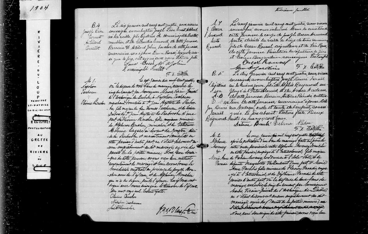 Acte de mariage de Napoléon Taschereau et d'Olivine Boucher, paroisse Saint-Patrice de Rivière-du-Loup, 7 janvier 1904